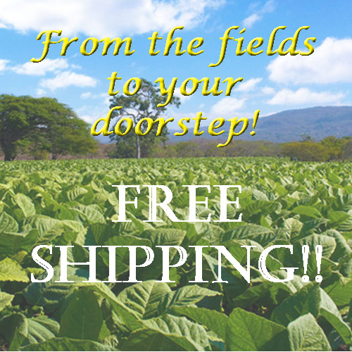 Free Shipping